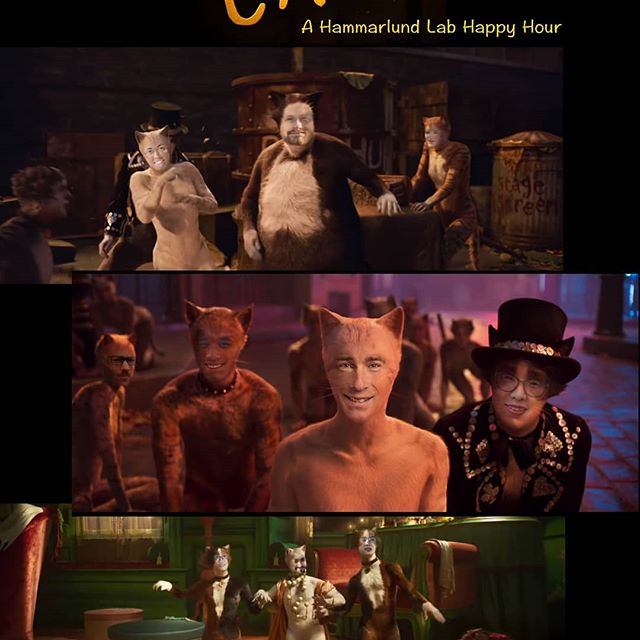 Cats themed Happy hour. 🐈🙀😹😸